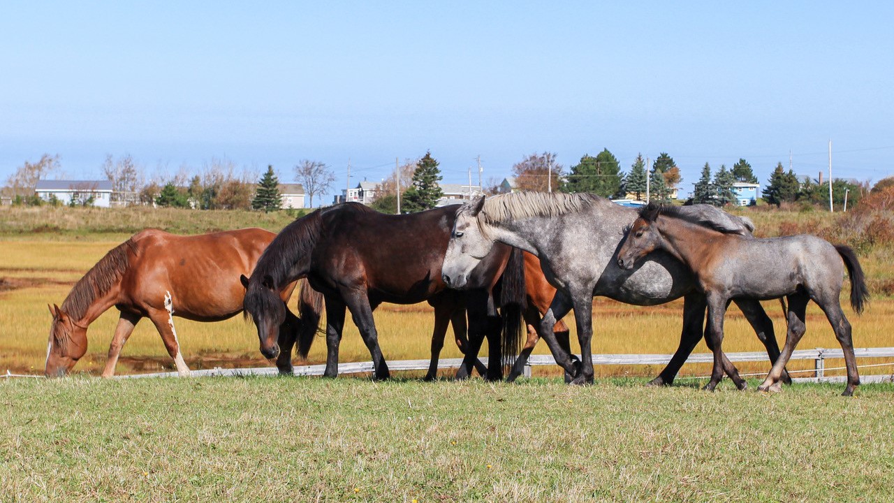 The family! Sarah Baker Forward photograph